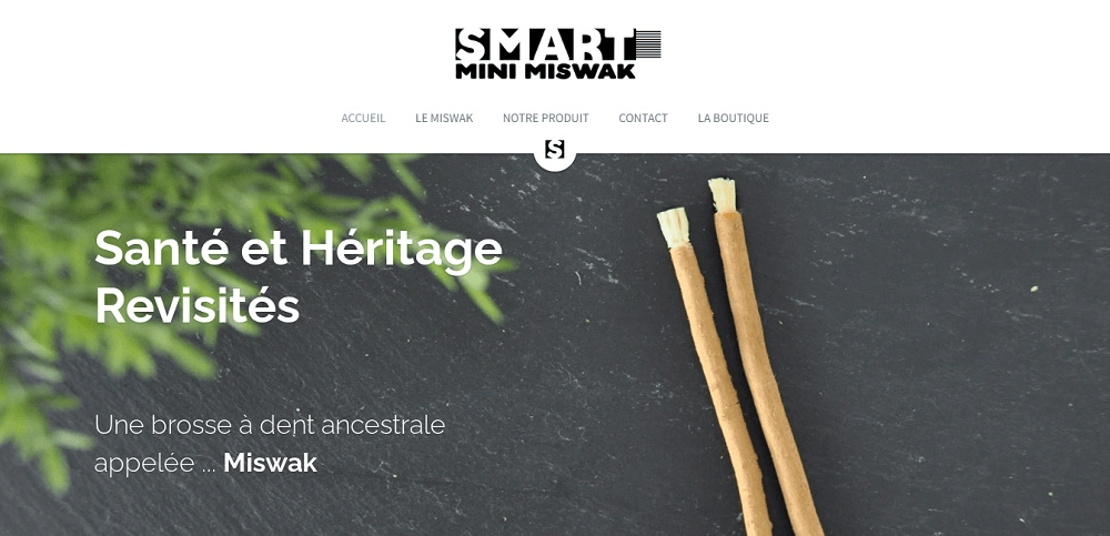 null Accueil Smart Mini Miswak